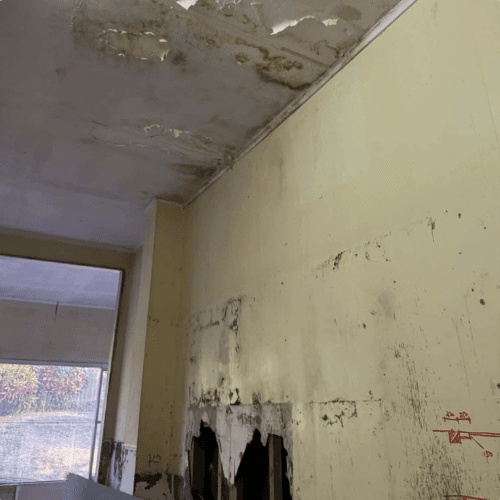Deteriorating interior walls of the house